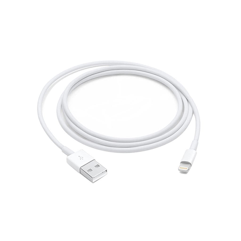 Apple Lightning to USB Cable - 1m
